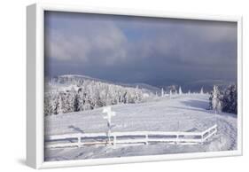 Winter scenery at the Kandel, Black Forest, Baden-Wurttemberg, Germany-Markus Lange-Framed Photographic Print