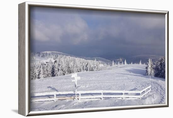 Winter scenery at the Kandel, Black Forest, Baden-Wurttemberg, Germany-Markus Lange-Framed Photographic Print