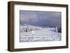 Winter scenery at the Kandel, Black Forest, Baden-Wurttemberg, Germany-Markus Lange-Framed Photographic Print