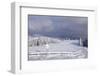 Winter scenery at the Kandel, Black Forest, Baden-Wurttemberg, Germany-Markus Lange-Framed Photographic Print