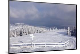 Winter scenery at the Kandel, Black Forest, Baden-Wurttemberg, Germany-Markus Lange-Mounted Photographic Print
