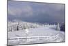 Winter scenery at the Kandel, Black Forest, Baden-Wurttemberg, Germany-Markus Lange-Mounted Photographic Print