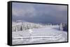 Winter scenery at the Kandel, Black Forest, Baden-Wurttemberg, Germany-Markus Lange-Framed Stretched Canvas