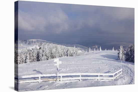 Winter scenery at the Kandel, Black Forest, Baden-Wurttemberg, Germany-Markus Lange-Stretched Canvas