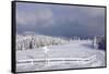 Winter scenery at the Kandel, Black Forest, Baden-Wurttemberg, Germany-Markus Lange-Framed Stretched Canvas