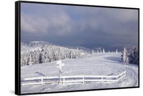 Winter scenery at the Kandel, Black Forest, Baden-Wurttemberg, Germany-Markus Lange-Framed Stretched Canvas