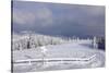 Winter scenery at the Kandel, Black Forest, Baden-Wurttemberg, Germany-Markus Lange-Stretched Canvas