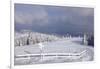 Winter scenery at the Kandel, Black Forest, Baden-Wurttemberg, Germany-Markus Lange-Framed Photographic Print