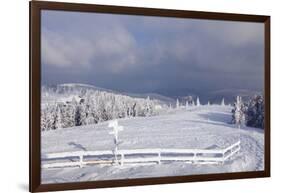 Winter scenery at the Kandel, Black Forest, Baden-Wurttemberg, Germany-Markus Lange-Framed Photographic Print