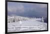 Winter scenery at the Kandel, Black Forest, Baden-Wurttemberg, Germany-Markus Lange-Framed Photographic Print