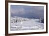 Winter scenery at the Kandel, Black Forest, Baden-Wurttemberg, Germany-Markus Lange-Framed Photographic Print