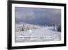 Winter scenery at the Kandel, Black Forest, Baden-Wurttemberg, Germany-Markus Lange-Framed Photographic Print