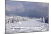 Winter scenery at the Kandel, Black Forest, Baden-Wurttemberg, Germany-Markus Lange-Mounted Photographic Print