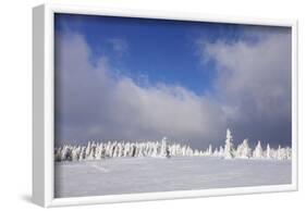 Winter scenery at the Kandel, Black Forest, Baden-Wurttemberg, Germany-Markus Lange-Framed Photographic Print