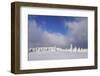 Winter scenery at the Kandel, Black Forest, Baden-Wurttemberg, Germany-Markus Lange-Framed Photographic Print