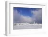 Winter scenery at the Kandel, Black Forest, Baden-Wurttemberg, Germany-Markus Lange-Framed Photographic Print