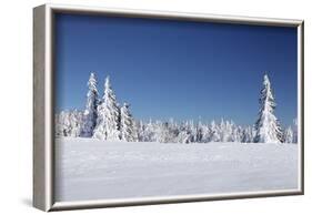 Winter scenery at the Kandel, Black Forest, Baden-Wurttemberg, Germany-Markus Lange-Framed Photographic Print