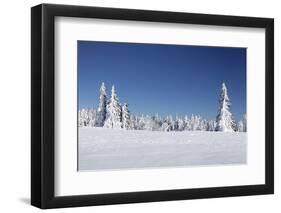 Winter scenery at the Kandel, Black Forest, Baden-Wurttemberg, Germany-Markus Lange-Framed Photographic Print