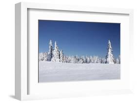 Winter scenery at the Kandel, Black Forest, Baden-Wurttemberg, Germany-Markus Lange-Framed Photographic Print