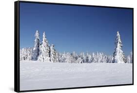 Winter scenery at the Kandel, Black Forest, Baden-Wurttemberg, Germany-Markus Lange-Framed Stretched Canvas