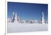 Winter scenery at the Kandel, Black Forest, Baden-Wurttemberg, Germany-Markus Lange-Framed Photographic Print