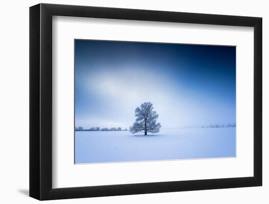 Winter Scenery in the Fog, Triebtal, Vogtland, Saxony, Germany-Falk Hermann-Framed Photographic Print