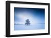 Winter Scenery in the Fog, Triebtal, Vogtland, Saxony, Germany-Falk Hermann-Framed Photographic Print