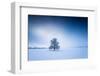 Winter Scenery in the Fog, Triebtal, Vogtland, Saxony, Germany-Falk Hermann-Framed Photographic Print