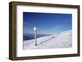 Winter scenery on the Belchen, Belchenrundweg, Black Forest, Baden-Wurttemberg, Germany-Markus Lange-Framed Photographic Print
