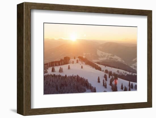 Winter scenery on the Belchen, Black Forest, Baden-Wurttemberg, Germany-Markus Lange-Framed Photographic Print