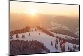 Winter scenery on the Belchen, Black Forest, Baden-Wurttemberg, Germany-Markus Lange-Mounted Photographic Print