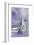 Winter scenery on the Kandel with church, Black Forest, Baden-Wurttemberg, Germany-Markus Lange-Framed Photographic Print