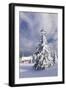 Winter scenery on the Kandel with church, Black Forest, Baden-Wurttemberg, Germany-Markus Lange-Framed Photographic Print