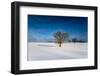 Winter Scenery, Triebtal, Vogtland, Saxony, Germany-Falk Hermann-Framed Photographic Print