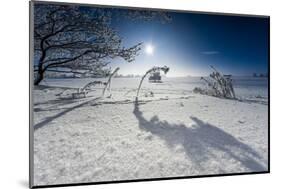 Winter Scenery with Bright Sunshine, Triebtal, Vogtland, Saxony, Germany-Falk Hermann-Mounted Photographic Print