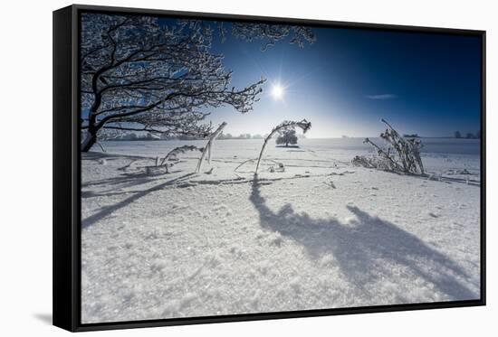 Winter Scenery with Bright Sunshine, Triebtal, Vogtland, Saxony, Germany-Falk Hermann-Framed Stretched Canvas