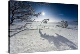 Winter Scenery with Bright Sunshine, Triebtal, Vogtland, Saxony, Germany-Falk Hermann-Stretched Canvas