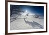 Winter Scenery with Bright Sunshine, Triebtal, Vogtland, Saxony, Germany-Falk Hermann-Framed Photographic Print