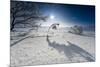 Winter Scenery with Bright Sunshine, Triebtal, Vogtland, Saxony, Germany-Falk Hermann-Mounted Photographic Print