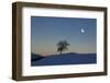 Winter Scenery with Tree (M)-Ludwig Mallaun-Framed Photographic Print