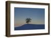 Winter Scenery with Tree-Ludwig Mallaun-Framed Photographic Print