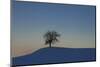 Winter Scenery with Tree-Ludwig Mallaun-Mounted Photographic Print