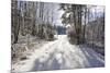 Winter Scenery with Way and the Sun in the Back Light-Wolfgang Filser-Mounted Photographic Print