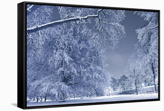 Winter Scenery-duallogic-Framed Stretched Canvas