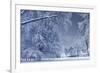 Winter Scenery-duallogic-Framed Photographic Print