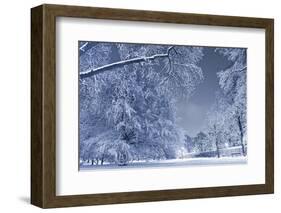 Winter Scenery-duallogic-Framed Photographic Print