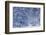 Winter Scenery-duallogic-Framed Photographic Print