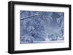 Winter Scenery-duallogic-Framed Photographic Print