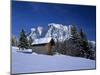 Winter Scenery-null-Mounted Photographic Print