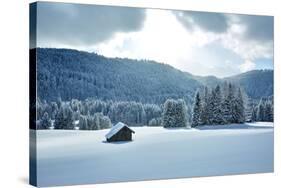 Winter Scenery-Marc Gilsdorf-Stretched Canvas